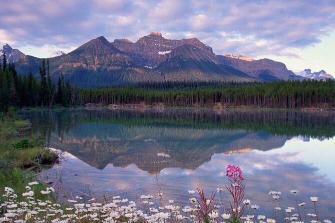 2-3 Days Lake Louise Moraine Gondola Johnston Canyon Icefield - Should You Book Banff Journey’s Lakes, Gondola, and Icefield Tour?