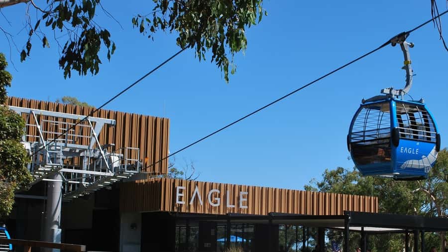 Arthurs Seat Eagle: Scenic Gondola Ride - Key highlights you’ll actually care about