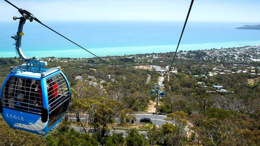 Arthurs Seat Eagle: Scenic Gondola Ride - Arthurs Seat Eagle in plain terms: what you’re buying for $21