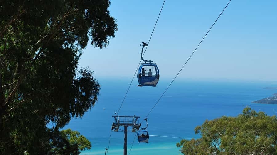 Arthurs Seat Eagle: Scenic Gondola Ride - The gondola ride itself: 15 minutes that actually feel calm
