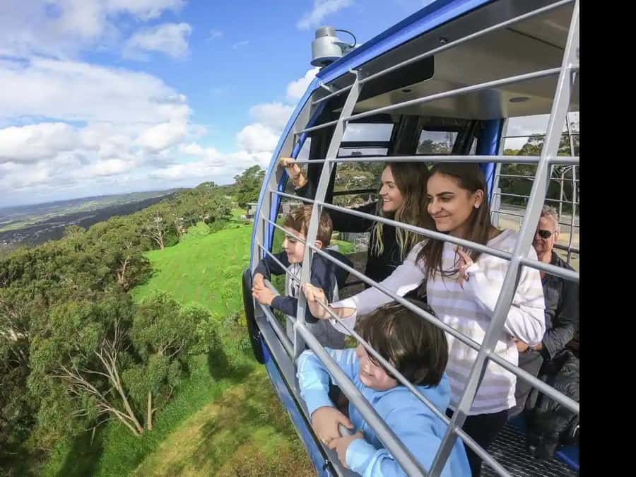 Arthurs Seat Eagle: Scenic Gondola Ride - Getting to the base station: keeping the ride stress-free