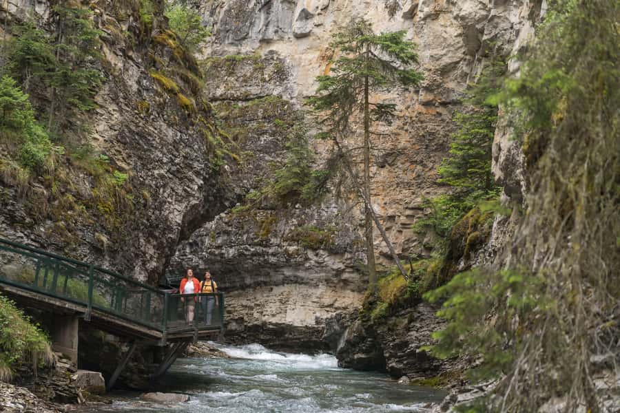Banff: Banff Town, Gondola, and Johnston Canyon Day Tour - What to expect from the guide and group setup