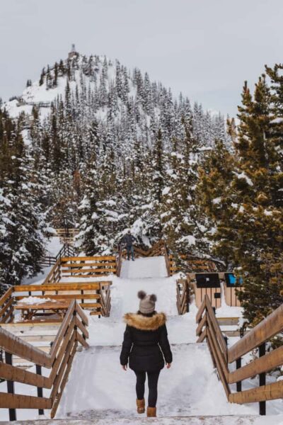Banff: Banff Town, Gondola, and Johnston Canyon Day Tour - Route and timing: what 8–10 hours looks like in practice