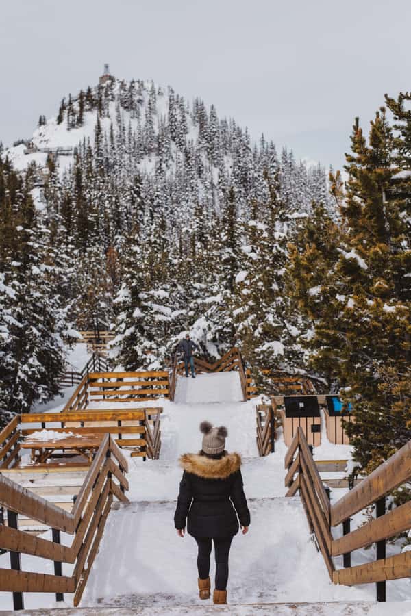 Banff: Banff Town, Gondola, and Johnston Canyon Day Tour - Route and timing: what 8–10 hours looks like in practice