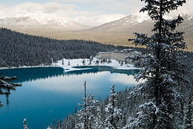 Banff Day Trip: Johnston Canyon, Fairmont Banff Springs, Gondola - How this Banff day trip actually feels once you’re on it