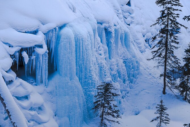 Banff Day Trip: Johnston Canyon, Fairmont Banff Springs, Gondola - The drive and guide vibe: bilingual, safety-first, and picture-minded