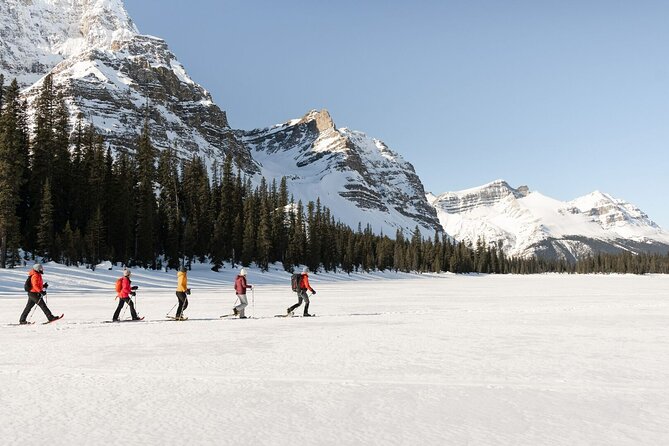 Banff Day Trip: Johnston Canyon, Fairmont Banff Springs, Gondola - Sulphur Mountain and Banff Gondola: optional, but the views are the point