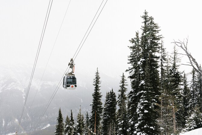 Banff Gondola & Lake Minnewanka Cruise Combo - The summit experience at Sulphur Mountain Boardwalk