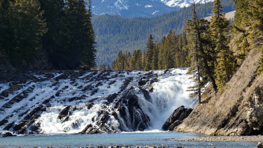 Banff: Gondola Ticket and Johnston Canyon Hiking Tour - A One-Day Banff Hit: Gondola, Hoodoos, and Johnston Canyon
