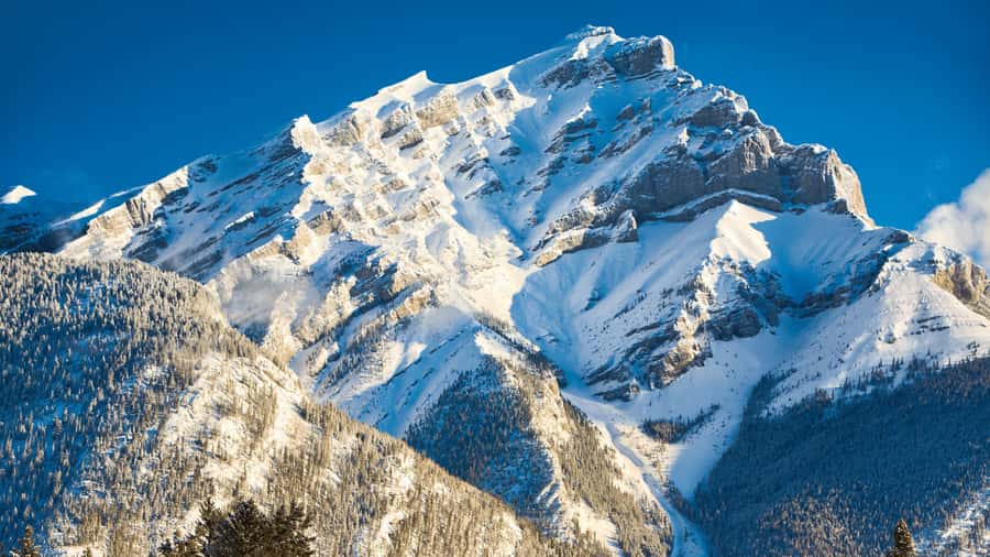 Banff: Gondola Ticket and Johnston Canyon Hiking Tour - Timing Back to Calgary: When the Return Window Can Shift
