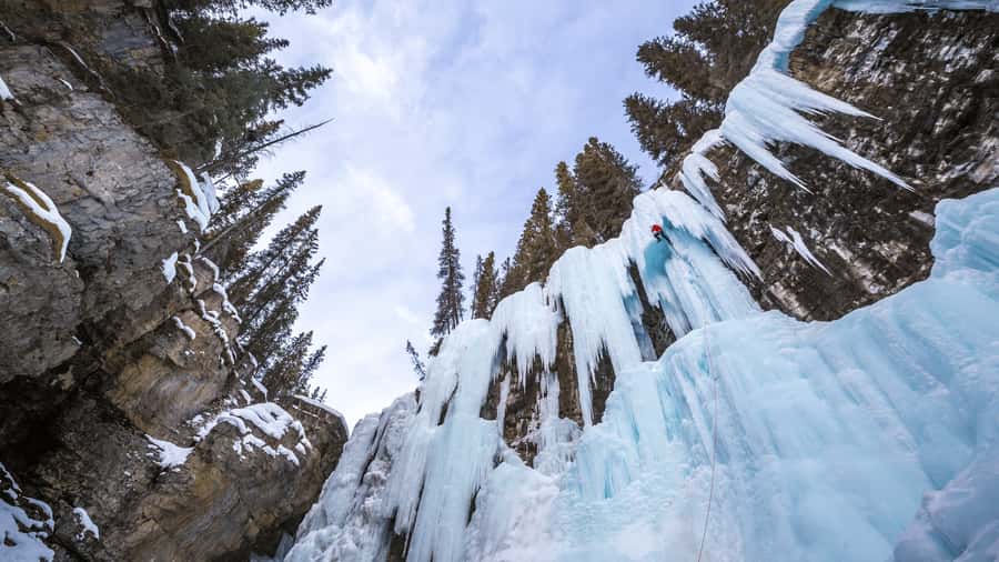 Banff: Gondola Ticket and Johnston Canyon Hiking Tour - Morning Pickup and the Bus Rhythm to Beat the Lines