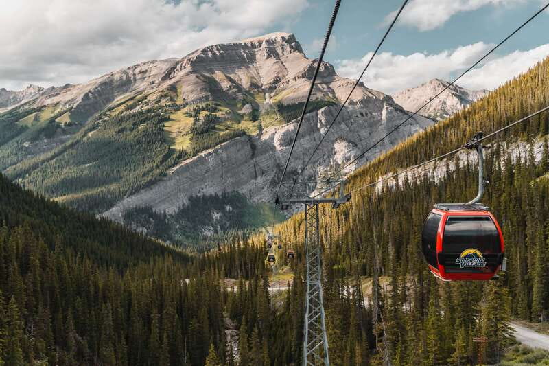 Banff: Sunshine Sightseeing Gondola and Standish Chairlift - Wildlife Spotting: Hope for It, Don’t Bet the Farm