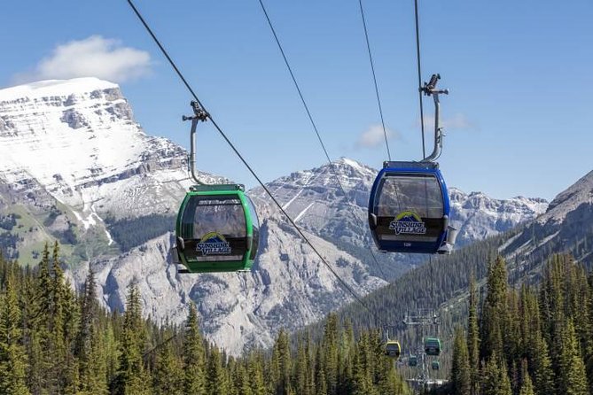 Banff Sunshine Village Gondola and Sightseeing - Key highlights that make this gondola outing worth your time