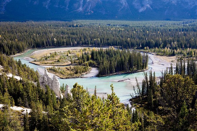 Banff Tour with Gondola & Lake Cruise - roundtrip from Banff - Tunnel Mountain Drive: Bow Falls, Hoodoos, and Mountain Frames