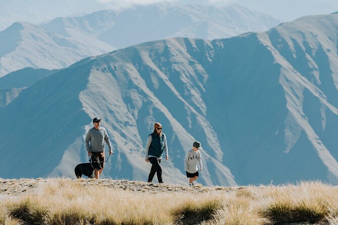 Cardrona Summer Gondola Sightseeing Pass - Food, Coffee, and Drinks: What’s Available vs. What’s Included