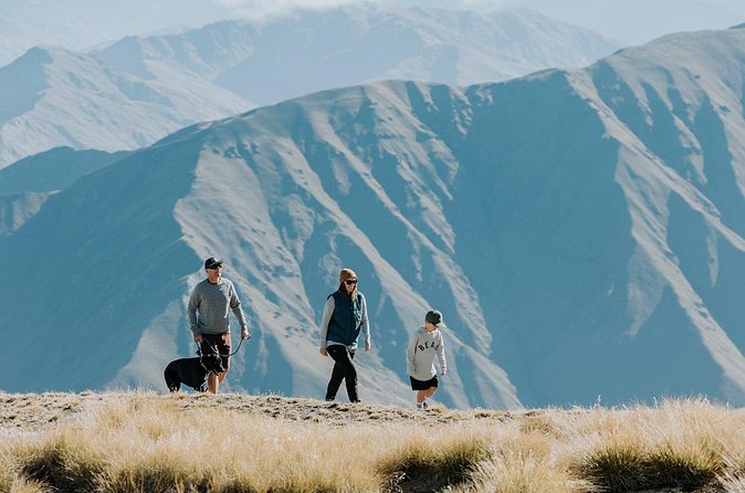 Cardrona Summer Gondola Sightseeing Pass - Who This Pass Fits Best (and Who Might Prefer Something Else)