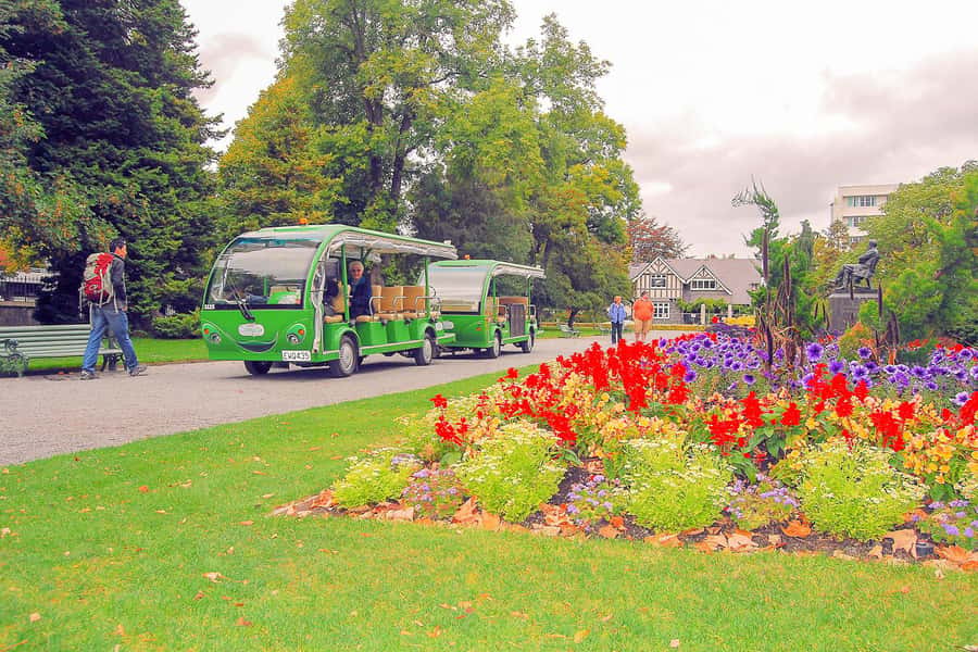 Christchurch Gondola and Tram City Tour Combo - Best day plan for different travelers (and why it works)