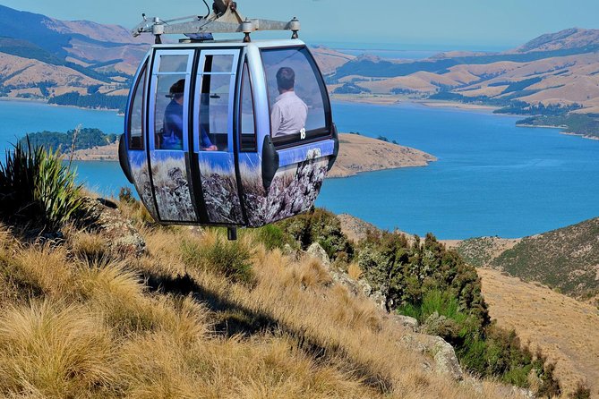 Christchurch Gondola Ride Ticket - The easy value play: return gondola plus optional Avon punting