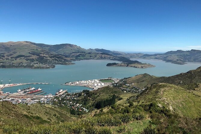Christchurch Gondola Ride Ticket - The gondola ride up: Mt Cavendish, almost a kilometer of climbing