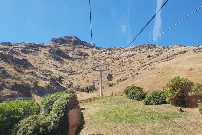 Christchurch Gondola Ride Ticket - Avon River punting upgrade: a 30-minute city reset