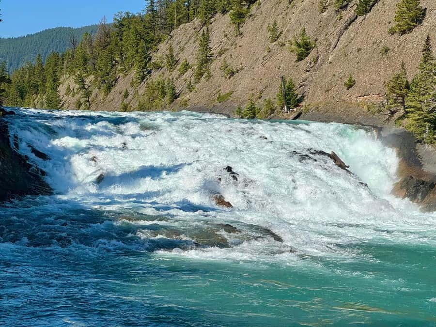 Discover the Best of Banff: Lakes, Mountains, Gondola Ride - Your Banff day, from glacial lakes to Sulphur Mountain heights