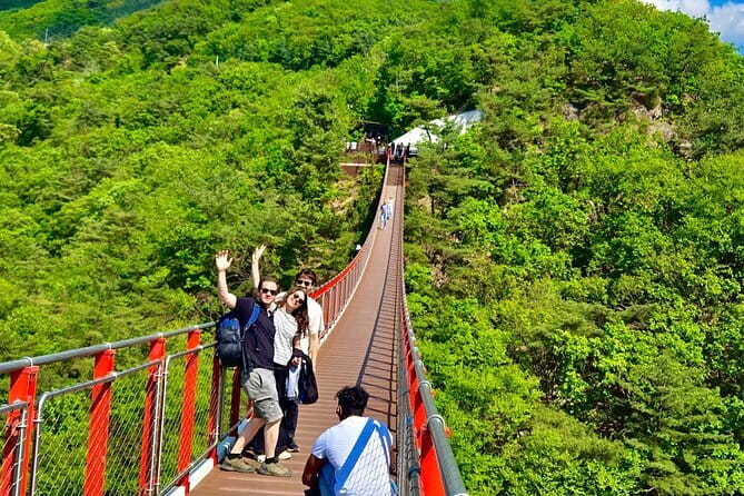 DMZ Guided Tour & Suspension Bridge / North Korean Defector - The 3rd Infiltration Tunnel area: expect walking and real weight