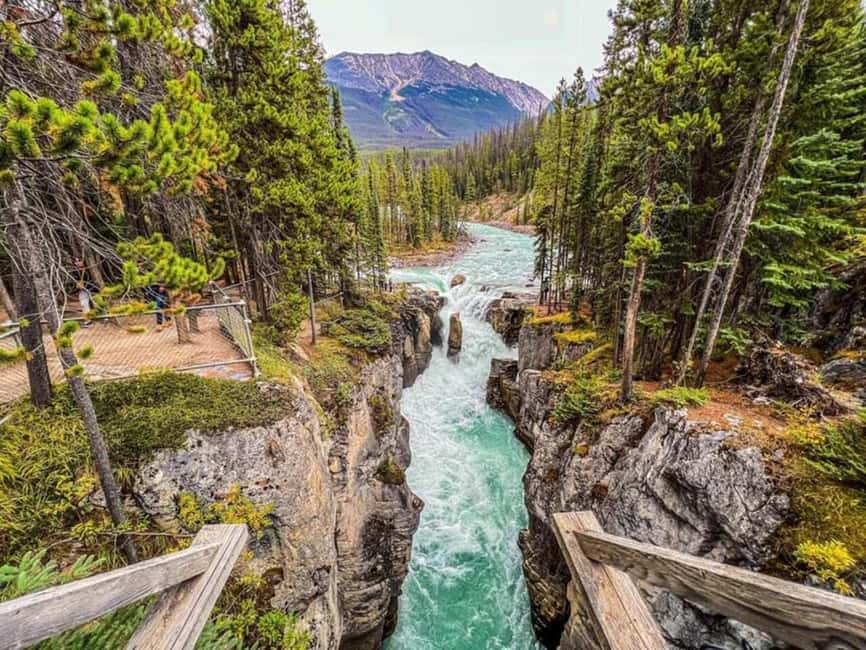 Emerald Lake, Lake Louise, Johnston Lake & Banff Gondola - Key Points Worth Noting