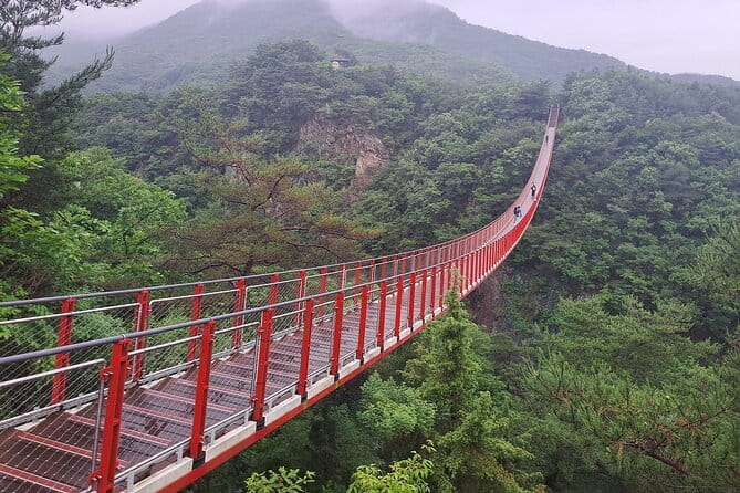 Explore DMZ from Seoul +(optional) Gondola/Red Suspension Bridge - Key highlights you’ll actually care about