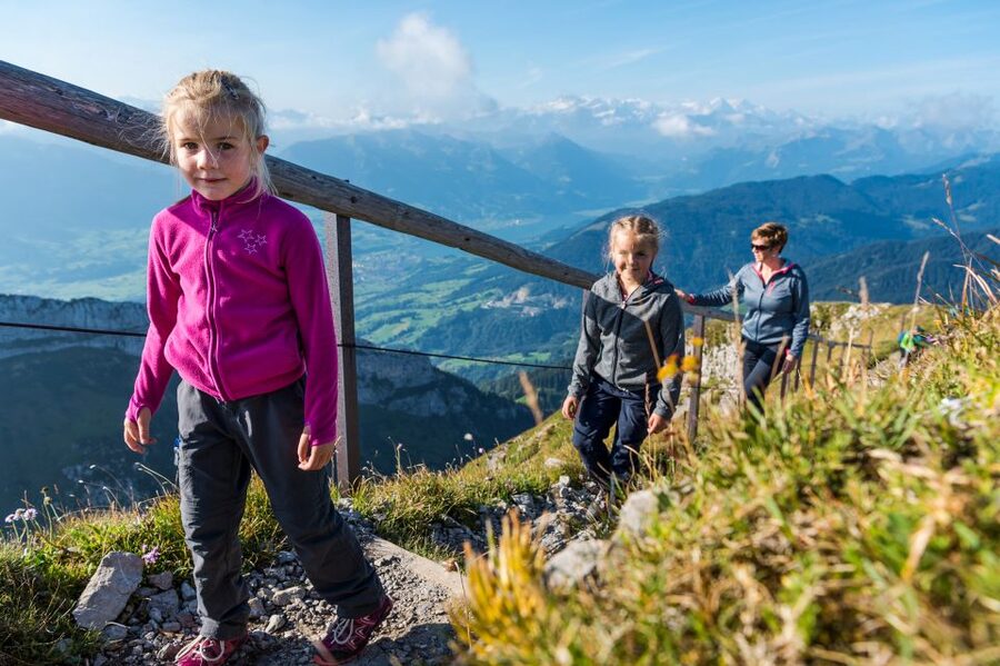 From Lucerne: Mt. Pilatus Gondola, Cable Car, and Boat Trip - The Dragon Ride to Pilatus Kulm: fast altitude, helicopter-like cabin feel