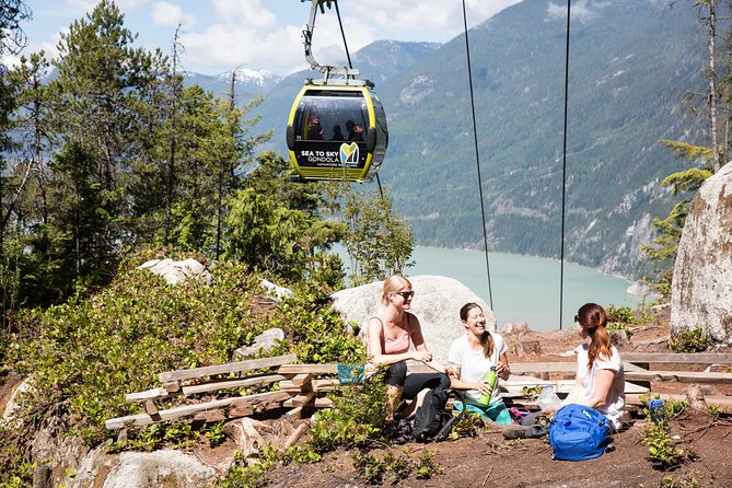 From Vancouver: Whistler & Sea to Sky Gondola with Shannon Falls - Price and Value: Is $173.04 a Fair Deal?