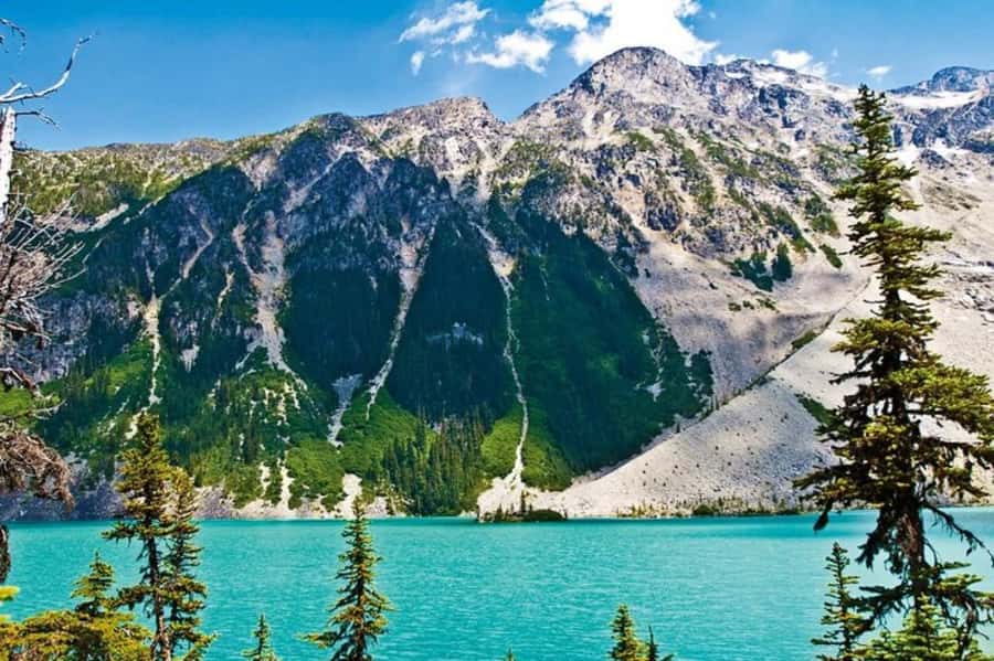 From Vancouver: Whistler Tour with Shannon Falls and Gondola - Key highlights worth planning around