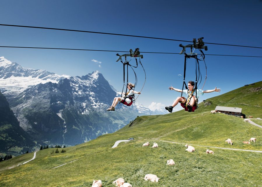 Grindelwald Gondola Ride to Mount First - Who this is best for (and who should tweak the plan)