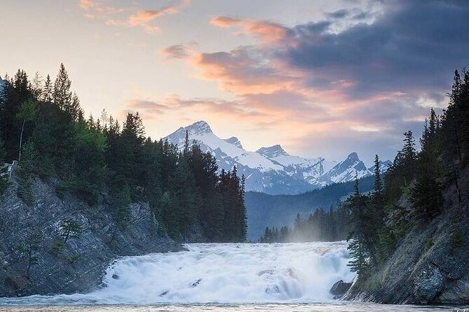 Guided Tour to Banff Highlights & Wildlife With Gondola Admission - The Timing Strategy: Why Sunset Helps Your Chances