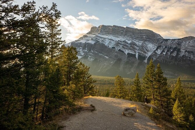 Guided Tour to Banff Highlights & Wildlife With Gondola Admission - Banff National Park First: How the Guide Sets the Tone