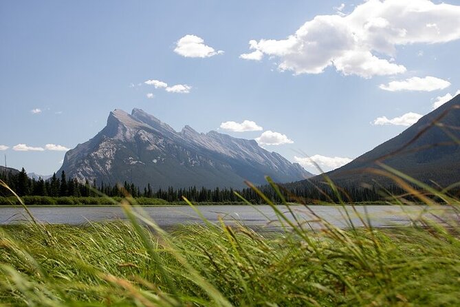 Guided Tour to Banff Highlights & Wildlife With Gondola Admission - Hoodoos Trail: A Short Walk With Big Bow Valley Views