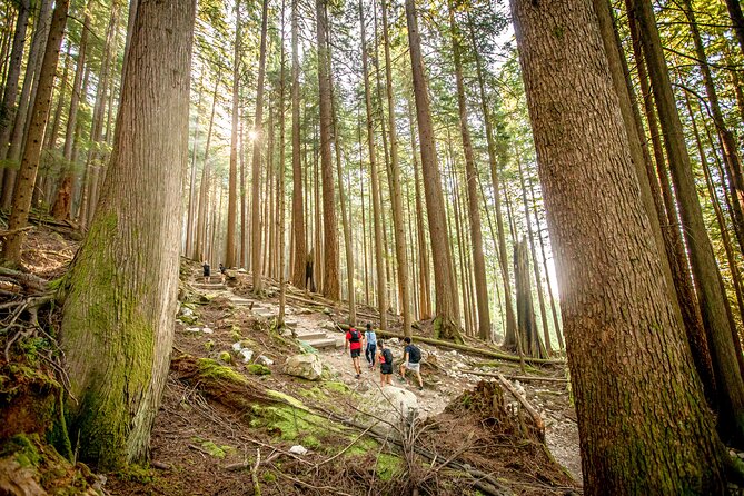 Guided Vancouver Hiking Highlights Day Tour with Gondola Download - Getting oriented: Stanley Park Drive and the Lion’s Gate crossing