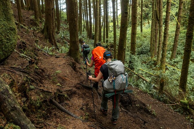 Guided Vancouver Hiking Highlights Day Tour with Gondola Download - Twin Falls and forest trails: how the last stretch feels