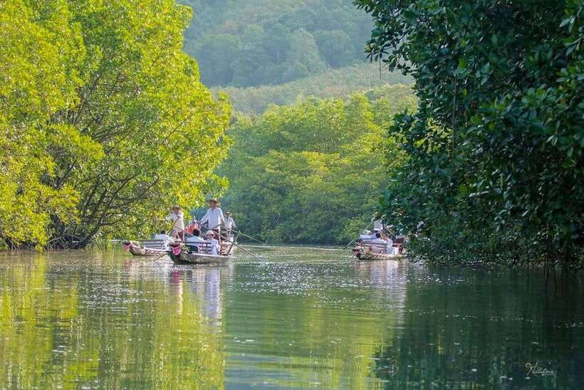 Koh Chang: Mangrove Forest Gondola Tour - Key Things to Know Before You Go