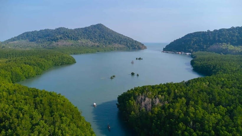Koh Chang: Mangrove Forest Gondola Tour - The 40-Minute Gondola Ride: Quiet Channels and a Slow Pace