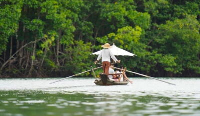 Koh Chang: Mangrove Forest Gondola Tour - Meeting at Salak Khok: Simple Arrival, Clear Expectations