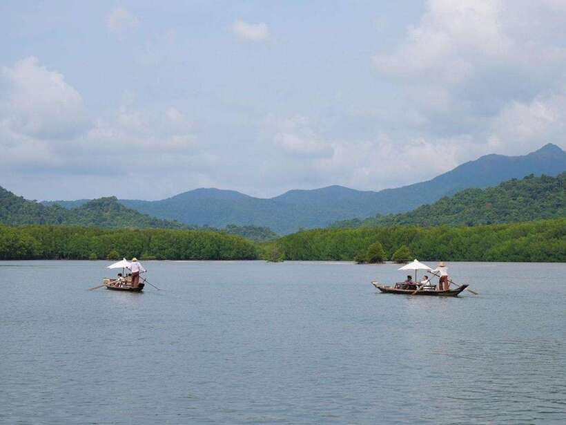 Koh Chang: Mangrove Forest Gondola Tour - Who Should Book This Mangrove Gondola Tour