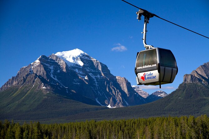 Lake Louise Summer Gondola Experience - Dining at the Top: Eat Well, But Don’t Lose Your Timing