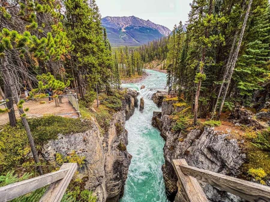 Lake Minnewanka, Lake, Louise, Johnson Lake & Banff Gondola - Price and value: what you are really paying for
