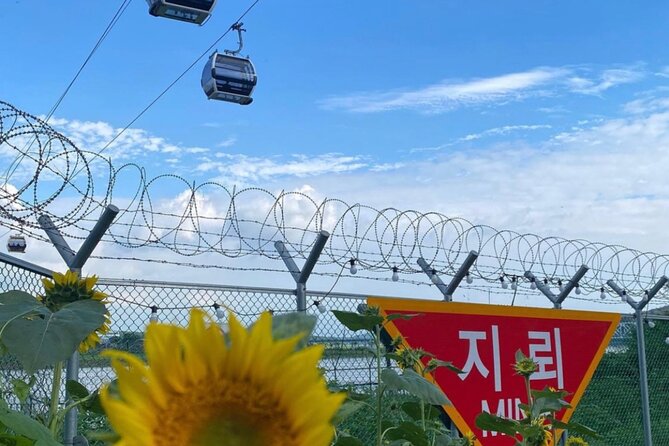 [Private] DMZ & Imjingak Peace Gondola Experience Inter-Korean War - Dora Observatory and Dorasan Station: Views and Symbols in One Run