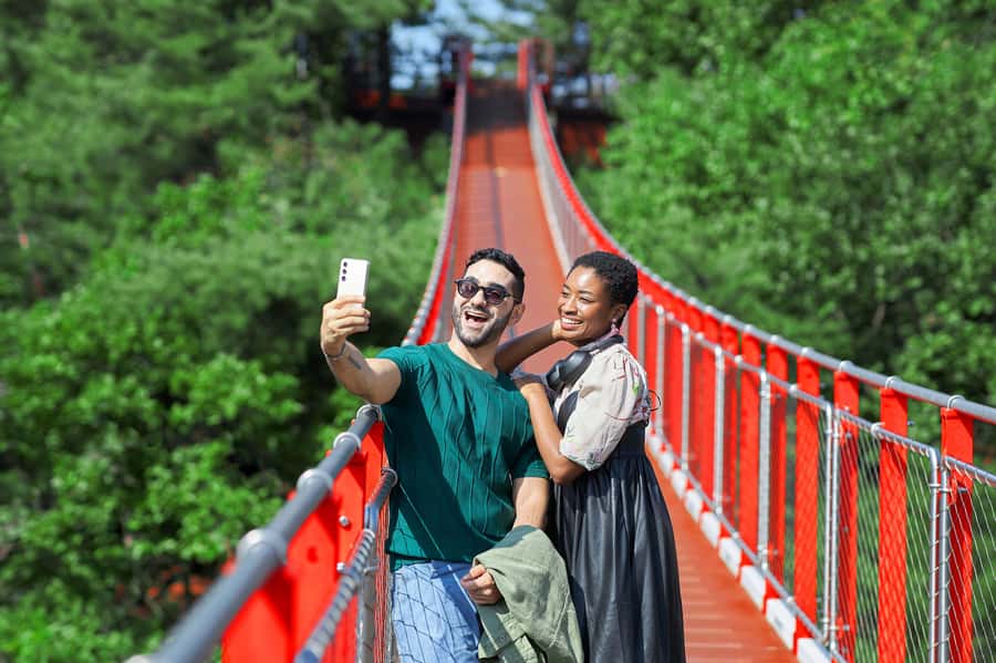 Seoul: DMZ Tour with Optional Suspension Bridge and Gondola - Key highlights you’ll actually notice