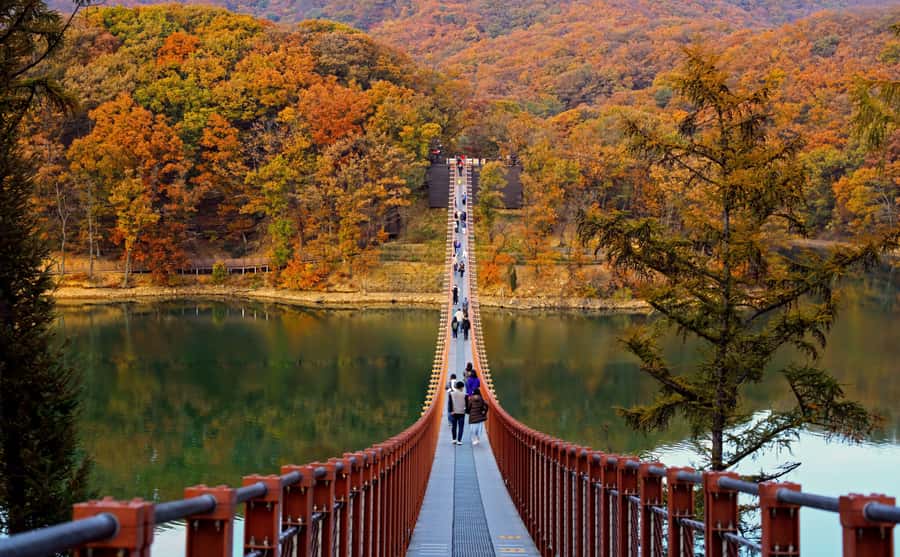 Seoul: DMZ Tour with Optional Suspension Bridge and Gondola - Why This DMZ Day Trip Works So Well From Seoul