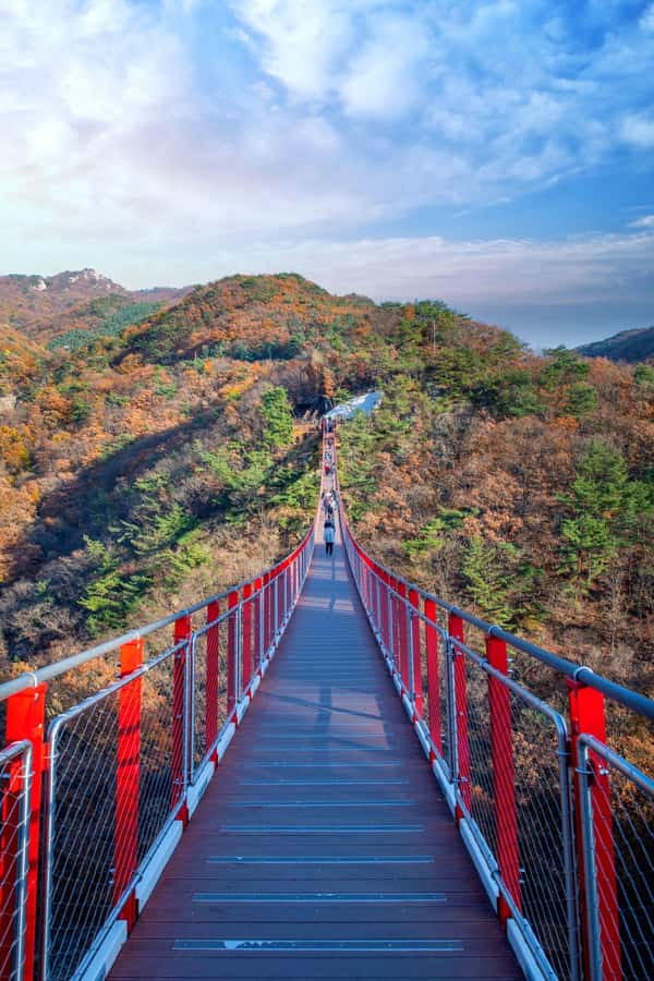 Seoul: DMZ Tour with Optional Suspension Bridge and Gondola - Peace Gondola: Seeing the Civilian Control Line From Above