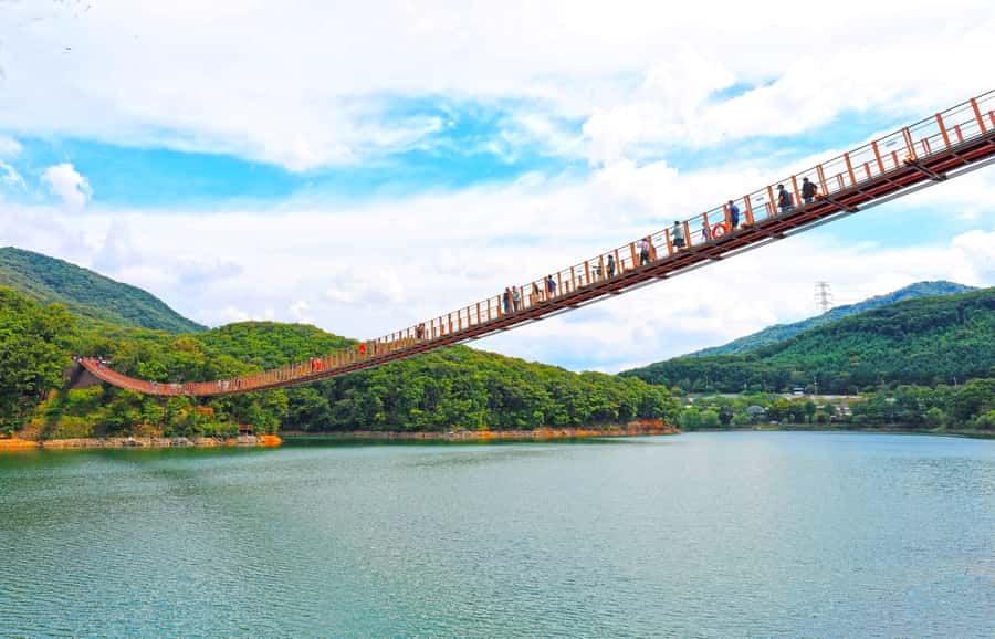 Seoul: DMZ Tour with Optional Suspension Bridge and Gondola - Picking the Right Option: Classic DMZ vs Gondola vs Bridges vs Monday Views