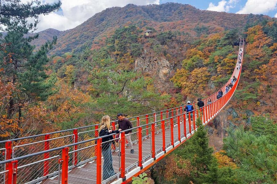 Seoul: DMZ with Optional Suspension Bridge & Gondola - The DMZ from Seoul: why this day trip hits harder than photos