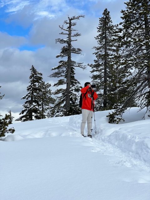Snowshoeing At The Top Of The Sea To Sky Gondola - A Quick Reality Check: When the Weather Turns